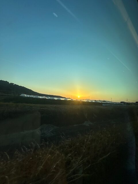 修学旅行（第4日目）